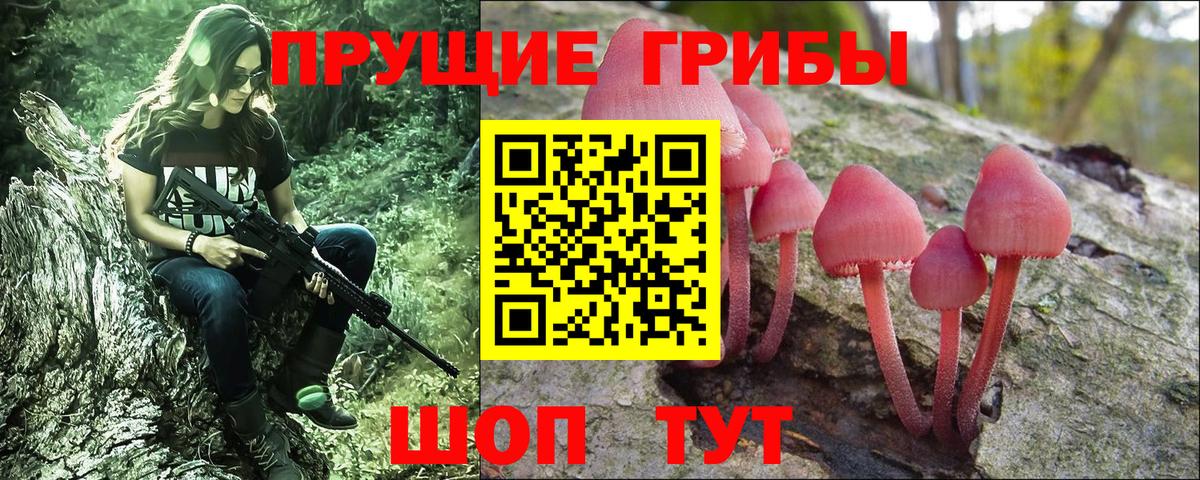 Трёхгорный  Псилоцибиновые грибы прущие грибы  Вход с VPN 